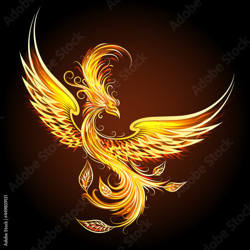Fire Bird Phoenix on Black Background