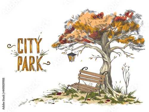 An empty bench under crown tree with lantern in autumn park or garden.