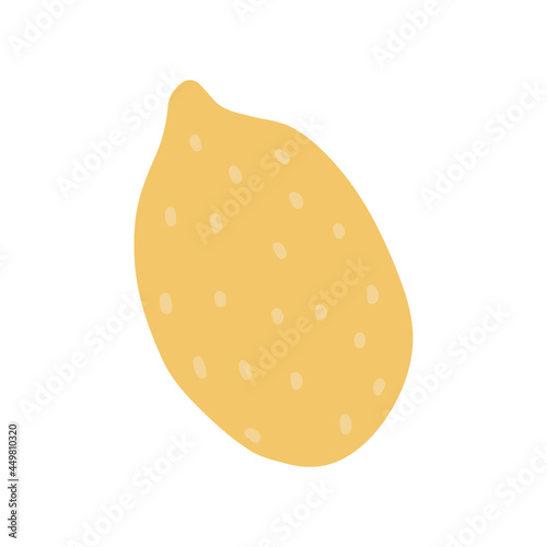 Whole fruit of fresh sour lemon isolated on white background. Yellow citruses. Simple colored hand-drawn vector doodle illustration of exotic tropical fragrant food.