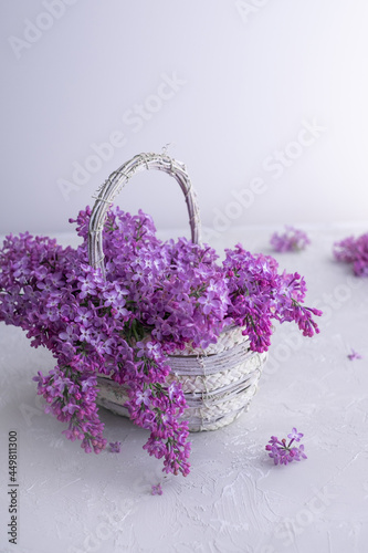 Wicker basket of lilac flowers on white table. Mothers and woman's day. Gift baskets and flower deliveries.