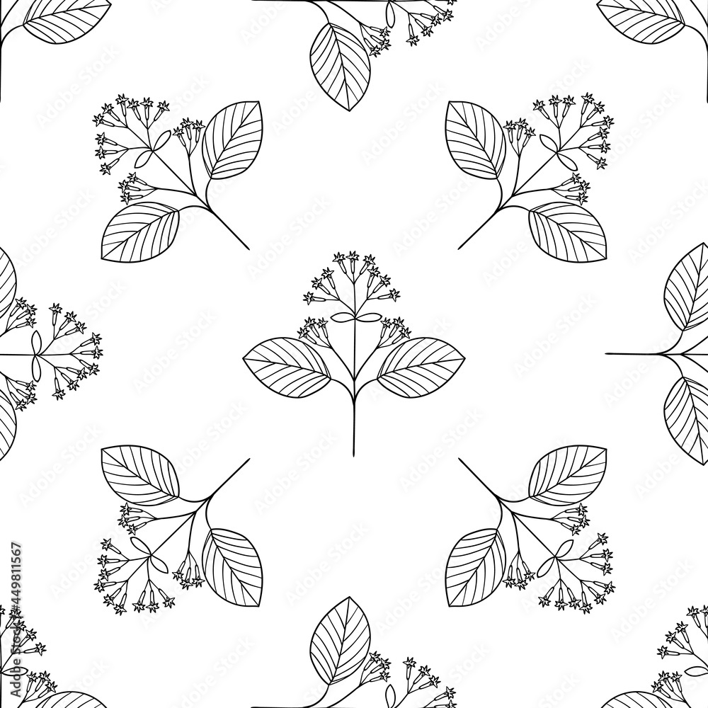 quina, seamless b-w dd ww herb isol quina, seamless b-w dd ww herb isol