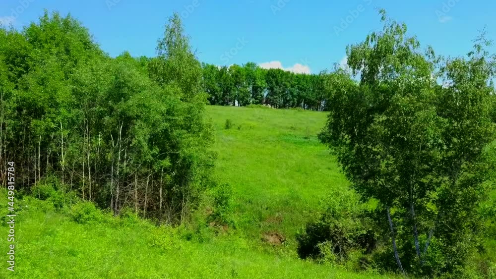 Aerial photography over green grass among the hills. The drone flies past the trees. The quadcopter takes pictures of nature. Summer sunny day and blue sky with white clouds. Aerial photography over green grass among the hills. The drone flies past the trees. The quadcopter takes pictures of nature. Summer sunny day and blue sky with white clouds.