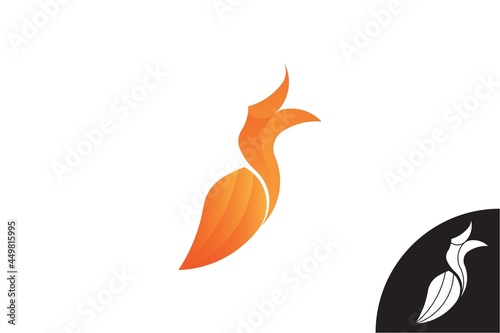 Buceros Rhinoceros bird logo. This bird is an icon of the island of Borneo. very suitable for icons, symbols, t-shirts, initials, e-sports, mascot, corporate, zoos, businesses , etc.