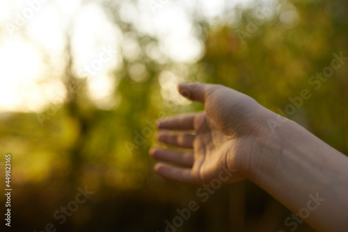 female hand nature to summer romance fresh air © SHOTPRIME STUDIO
