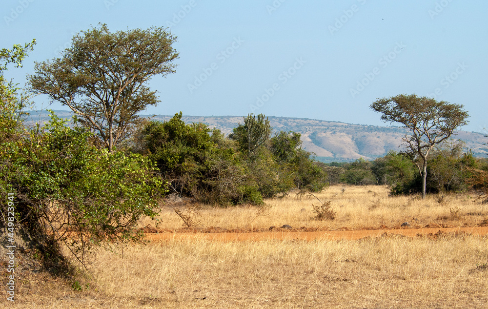 Landscape of Lake Mburo