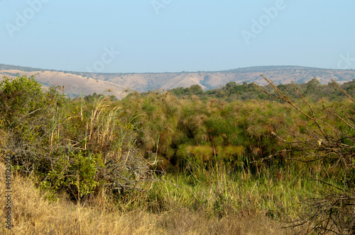 Landscape of Lake Mburo