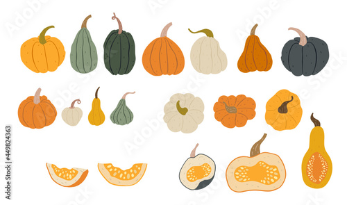 Big set of hand-drawn colorful pumpkins, pieces and parts, view from above. Flat organic style. Pretty and cute autumn and Halloween decorations. Isolated on white background.