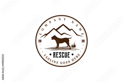 Vintage Retro Dog Doberman Pinscher Badge Emblem Logo Design Vector