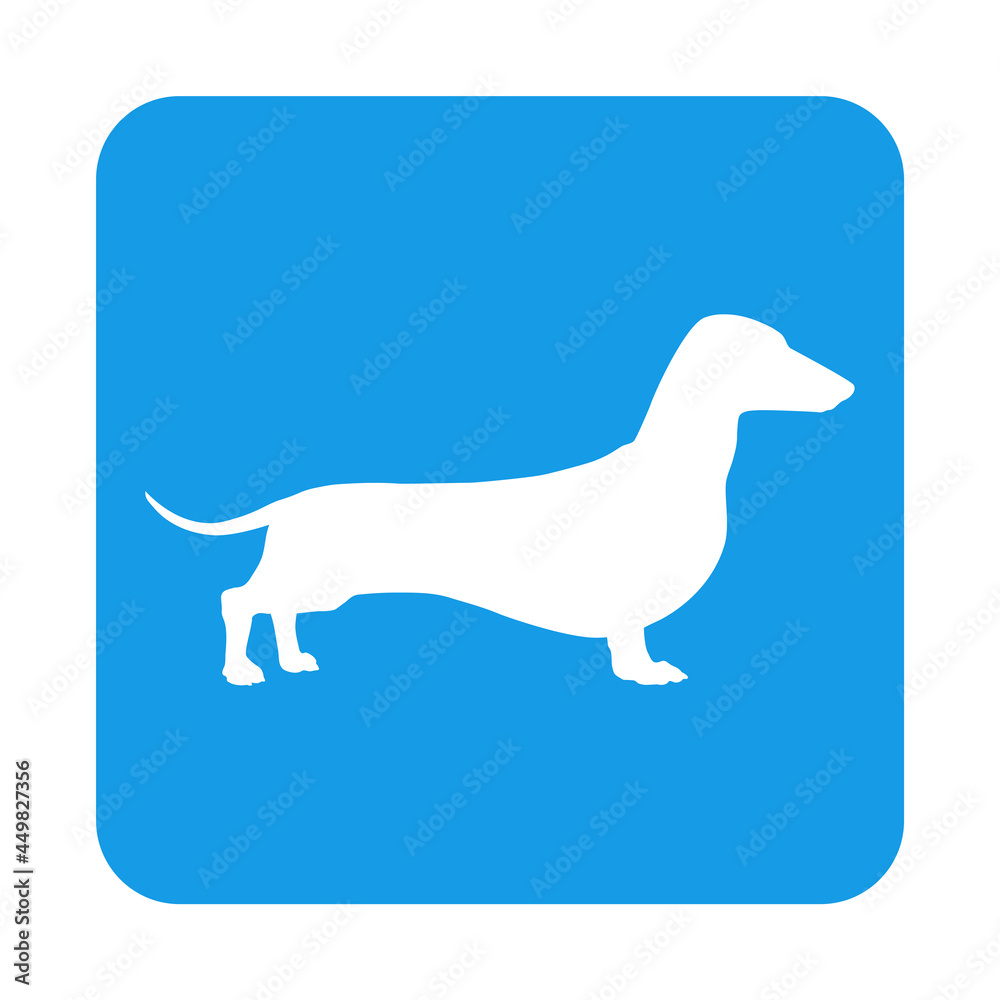 Razas de perro. Silueta de perro dachshund en cuadrado color azul