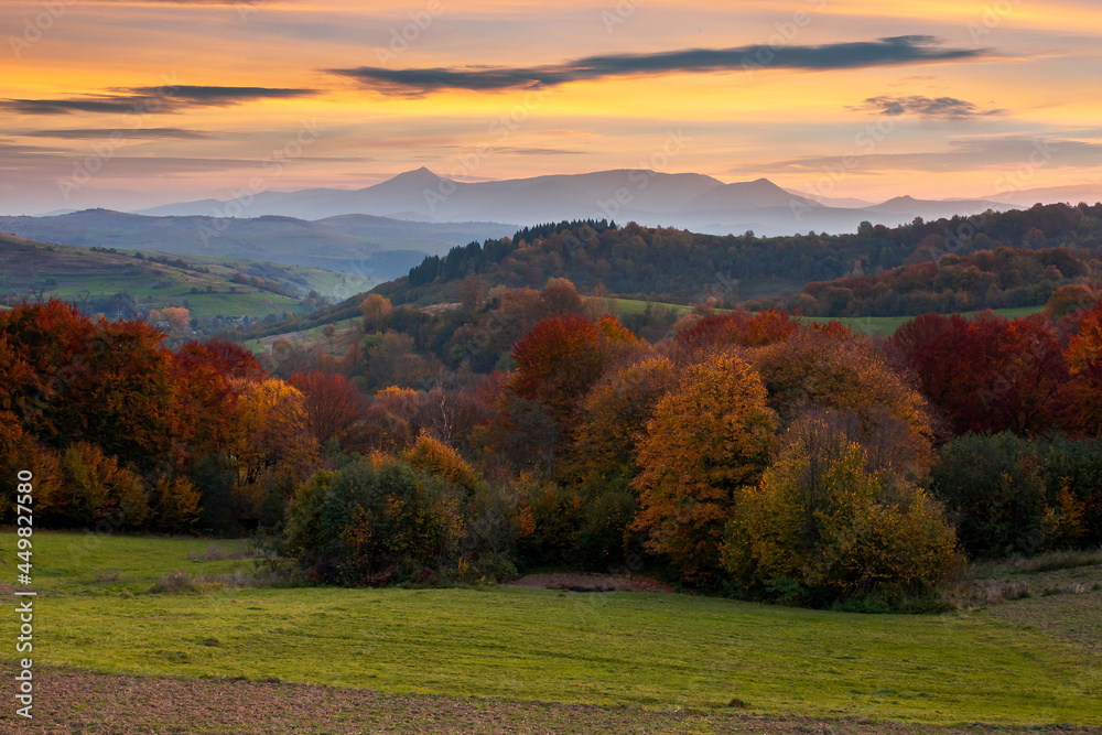 countryside mountain scenery at dusk. beautiful rural landscape in autumn. fields and meadow on rolling hills in evening light. trees in colorful foliage. ridge with high peak in the distance