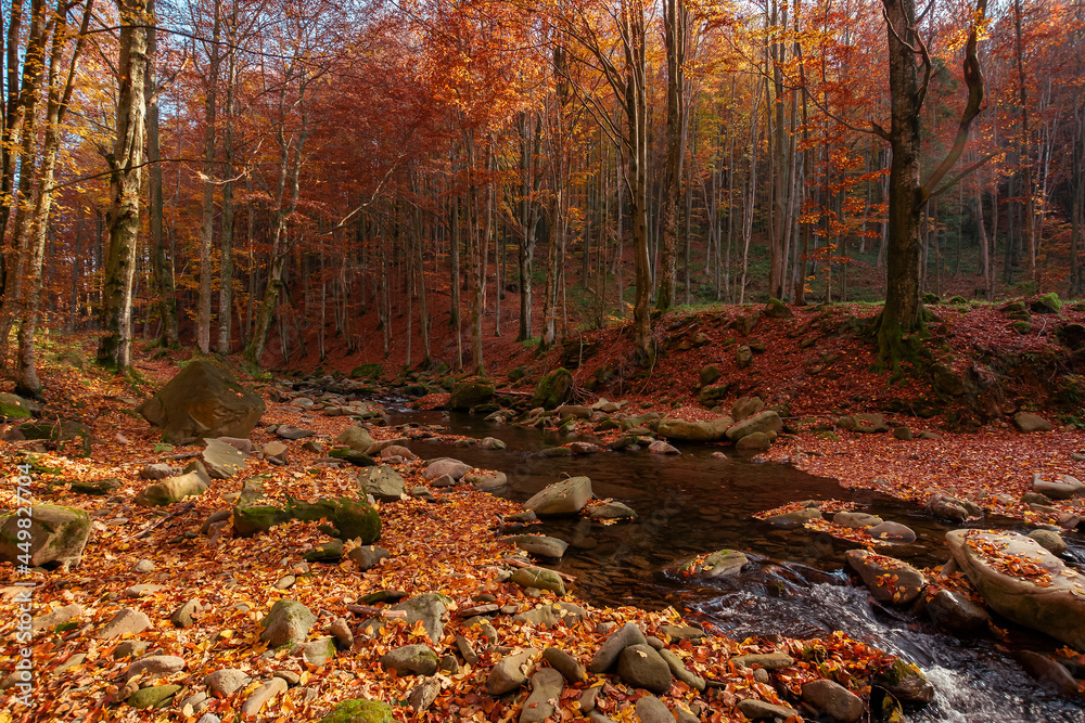 mountain river in the autumn forest. trees in fall foliage. leaves on the stones and ground by the shore of a clean water flow. warm sunny weather