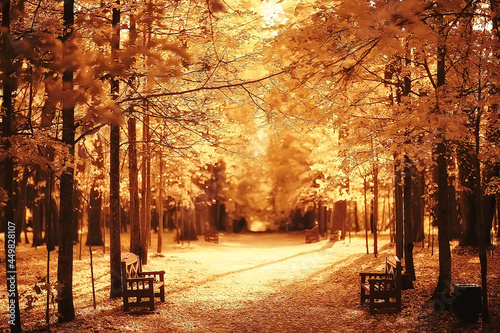 bench in autumn park, abstract landscape leisure walk, calm life concept