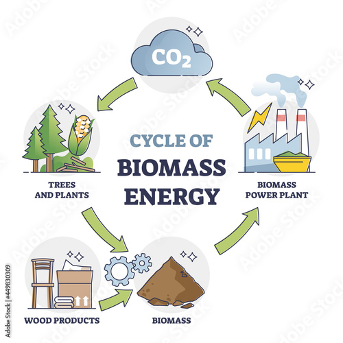 Cycle of biomass energy as direct combustion in power plant outline diagram. Educational labeled explanation with CO2 conversion to environmental resource vector illustration. Natural recycling method photo