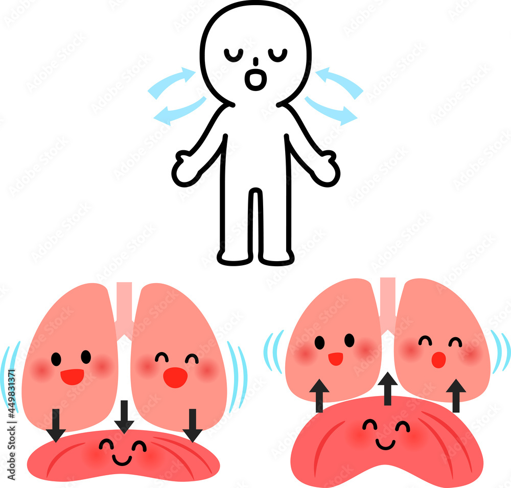 腹式呼吸する人物と横隔膜と肺のキャラクターstock Vector Adobe Stock
