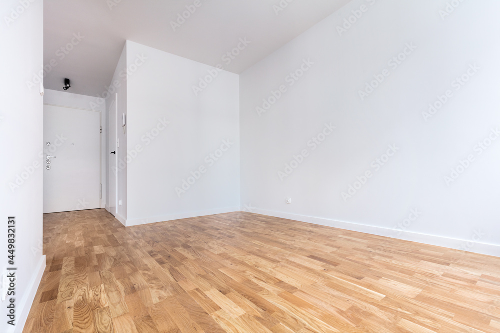 Obraz premium Empty new apartment interior