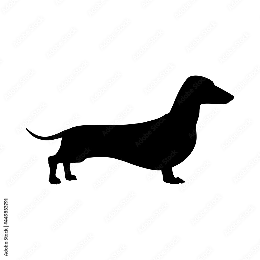 Razas de perro. Silueta de perro dachshund en color negro