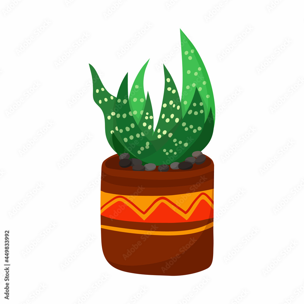 Succulent plant in pots. Hand drawn succulent. Simple cartoon vector Succulent plant in pots. Hand drawn succulent. Simple cartoon vector