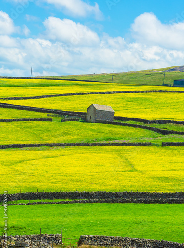 Swaledale in North Yorkshire. Portrait of the wildflower and buttercup meadows near Muker and Gunnerside in the Yorkshire Dales, UK. Summer time. Vertical. Space for copy.