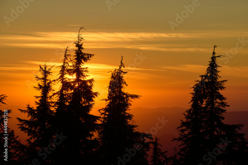 Mountain sunset with silhouttes of the trees with background of the red and orange sky.