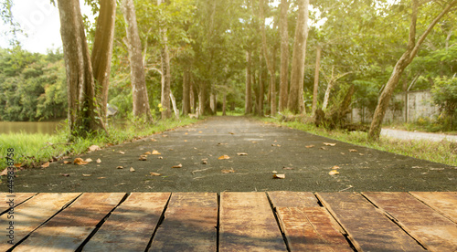 beautiful wooden floor and park and forest background