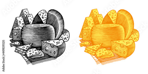 Still life with a cheese head, pieces of cheese and slices, vector illustration. Vintage graphics and handwork. A collection of farm products.