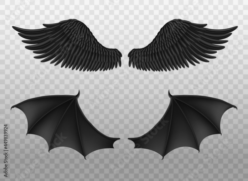 Obraz na płótnie Realistic black wings