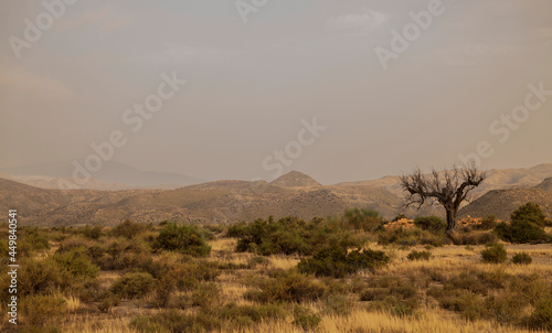 Landscape of Tabernas desert in Almeria  Spain during sunrise