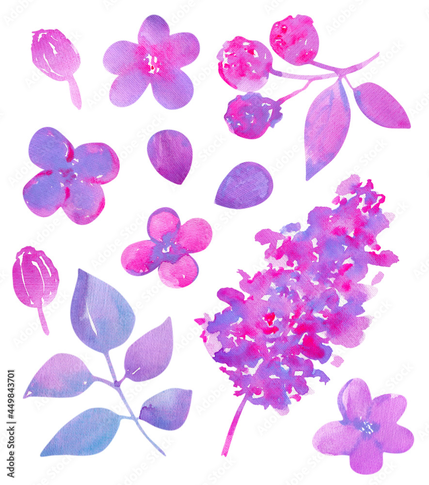 Lilac flowers watercolor illustration. Big set watercolor elements. Hand drawn floral collection.
