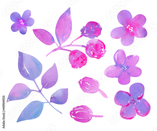 Pink flowers watercolor illustration. Big set watercolor elements. Hand drawn floral collection.