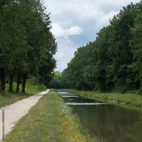 Old canal and trees at La motte Beuvron, Val de Loire