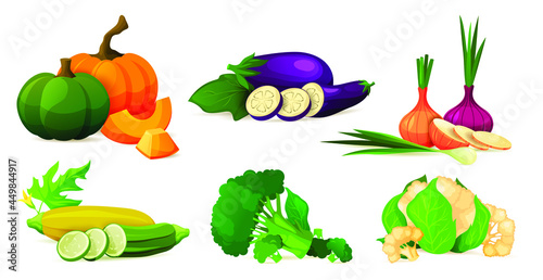 Vegetable composition or composing. Set of combining ripe vegetables, whole and sliced. pumpkin, eggplant, onions, zucchini, broccoli and cauliflower collection. Vitamin product, culinary ingredient.