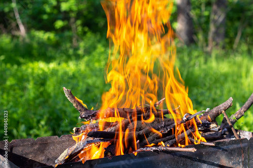 The firewood in the grill burns with a bright orange flame of fire on a natural green background.