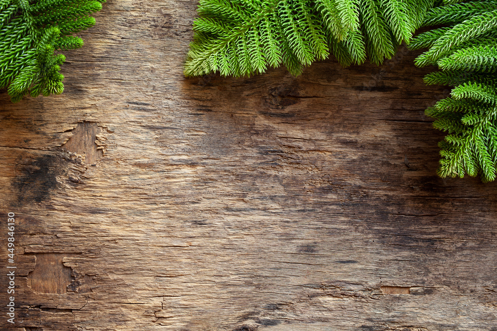 Pine tree branches on an old wooden board banner Pine tree branches on an old wooden board banner