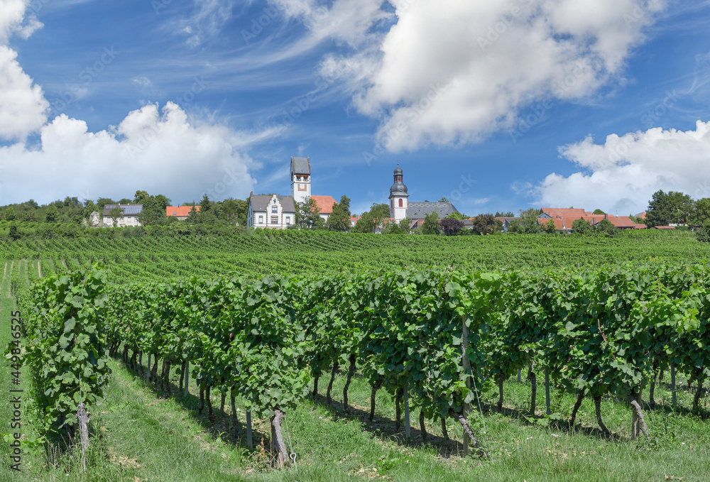 Weinort Zell im Zellertal,Donnersbergkreis,Rheinland-Pfalz,Deutschland