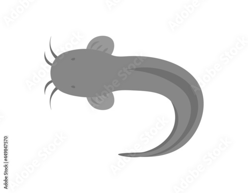 illustration of a catfish. freshwater fish or animals that live in rivers. flat cartoon style. vector design