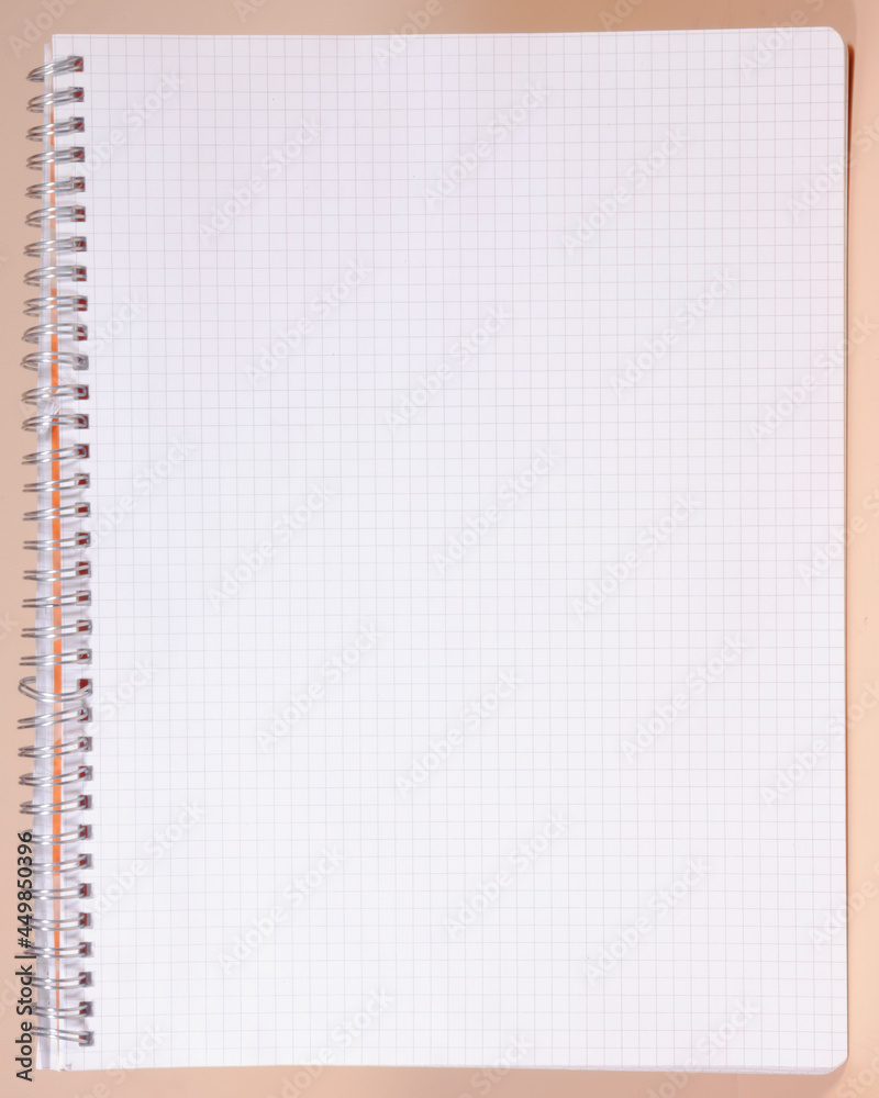 A spiral notebook, opened on a blank page. Vertical orientation.
A spiral notebook, opened on a blank page. Vertical orientation.