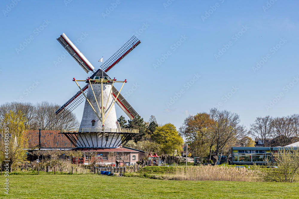 Farm with green grass with a Dutch windmill with its blades with red lines with trees in the background, sunny day with clear blue sky in Schouwen-Duiveland, Zeeland, Netherlands