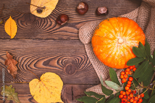 Top view of mini-pumpkins and autumn rowan on a wooden background. Happy Thanksgiving and Harvest Day