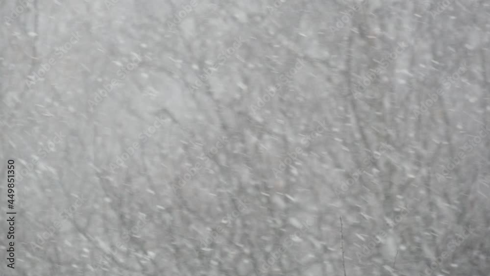 White snow flakes falling in winter, snowflakes of wintry Christmas snowfall. Cold snowy forest nature in december before New Year. Weather before snowstorm or blizzard. Seamless looped cinemagraph.