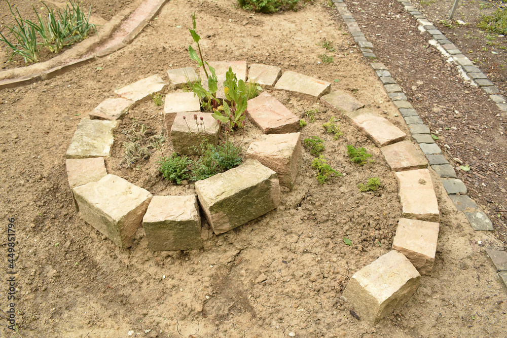 Fototapeta premium Kräuterspirale im Garten