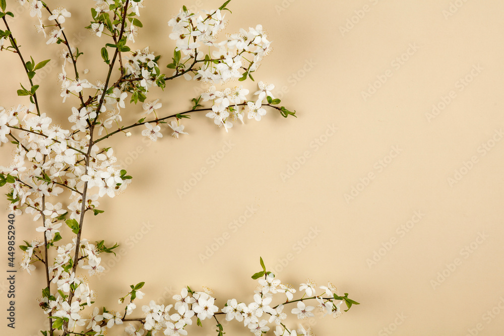 White flowers on a colored table seen from above White flowers on a colored table seen from above