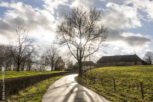 Backlit winding road with farms in the countryside of South Limburg, Netherlands photo