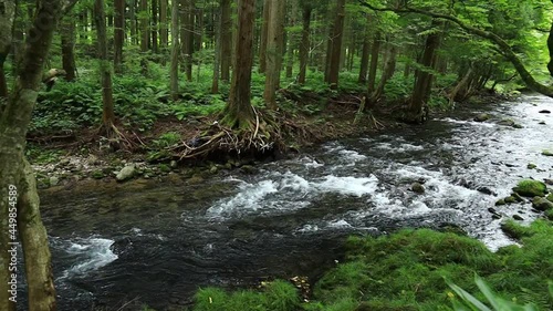 Wallpaper Mural さわやかな夏の森林と渓流 Torontodigital.ca