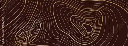 Topographic background. Sea texture, line contour map or heights path. Gold abstract topography cartography grid. Geography vector linear landscape