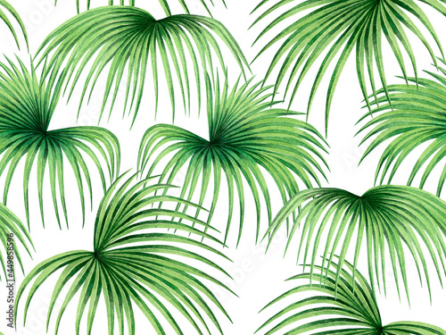 Watercolor painting palm leaves seamless pattern on white background.Watercolor hand drawn illustration tropical exotic leaf prints for wallpaper textile Hawaii aloha jungle pattern.