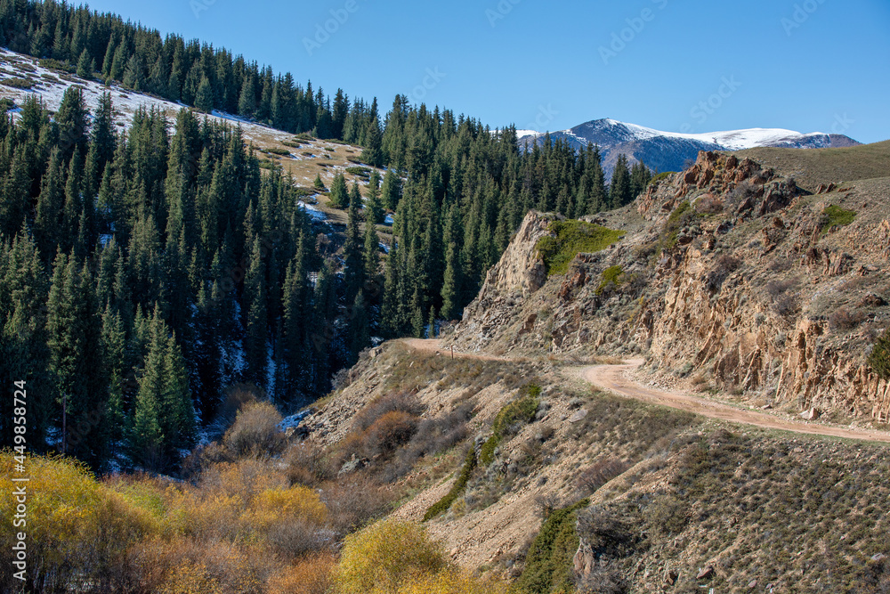Fototapeta premium autumn in the mountains
