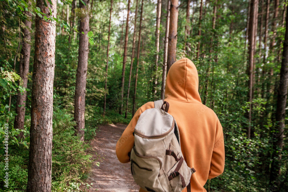 Man hiking with backpack in green forest. Back view