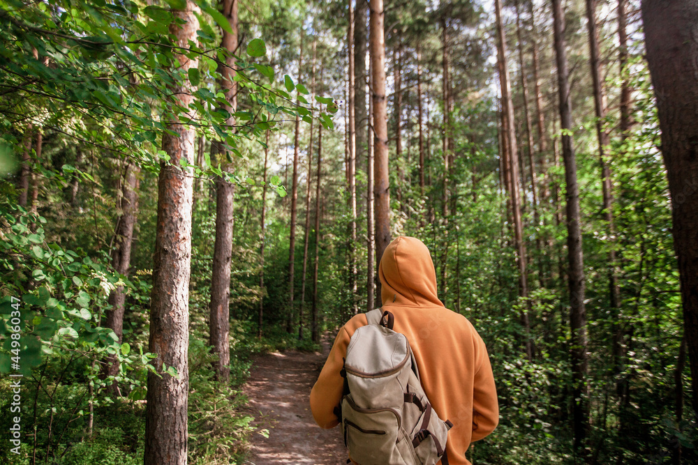 Man hiking with backpack in green forest. Back view Man hiking with backpack in green forest. Back view