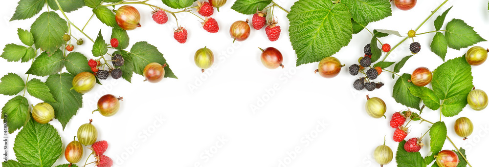 raspberries and gooseberries isolated on a white background. Wide photo. There is free space for your text. raspberries and gooseberries isolated on a white background. Wide photo. There is free space for your text.