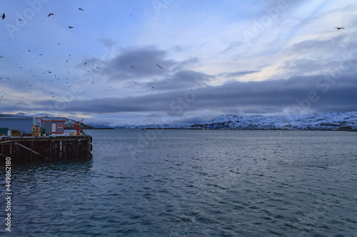 Fish Factory in North of Norway, Bugøynes © Oscar